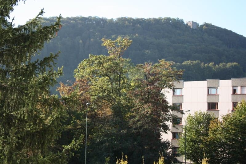 Helle grosszügige 3,5-Zimmerwohnung mit Balkon (1)