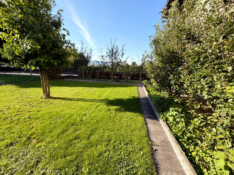 lawn with young tree, fence, bushes and pathway