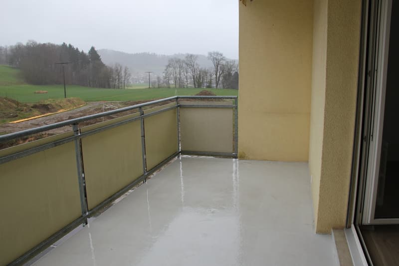 Schöne 3–Zimmer-Wohnung 2. OG (7)