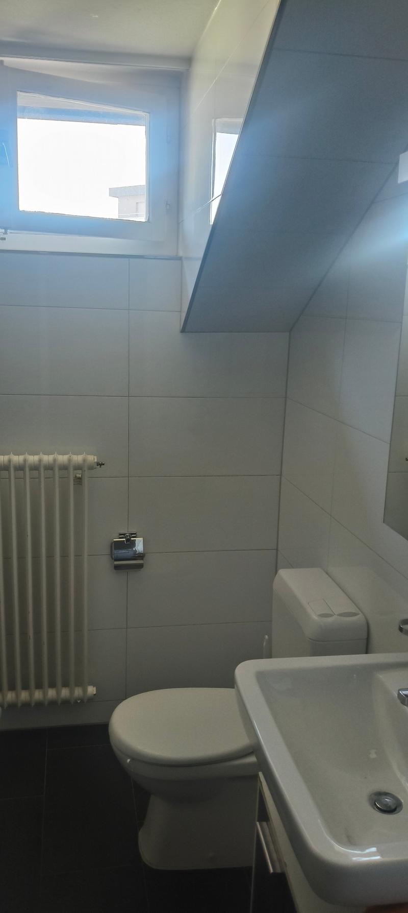 Charmante 2-Zimmer-Dachwohnung mit Balkon in Stansstad (12)