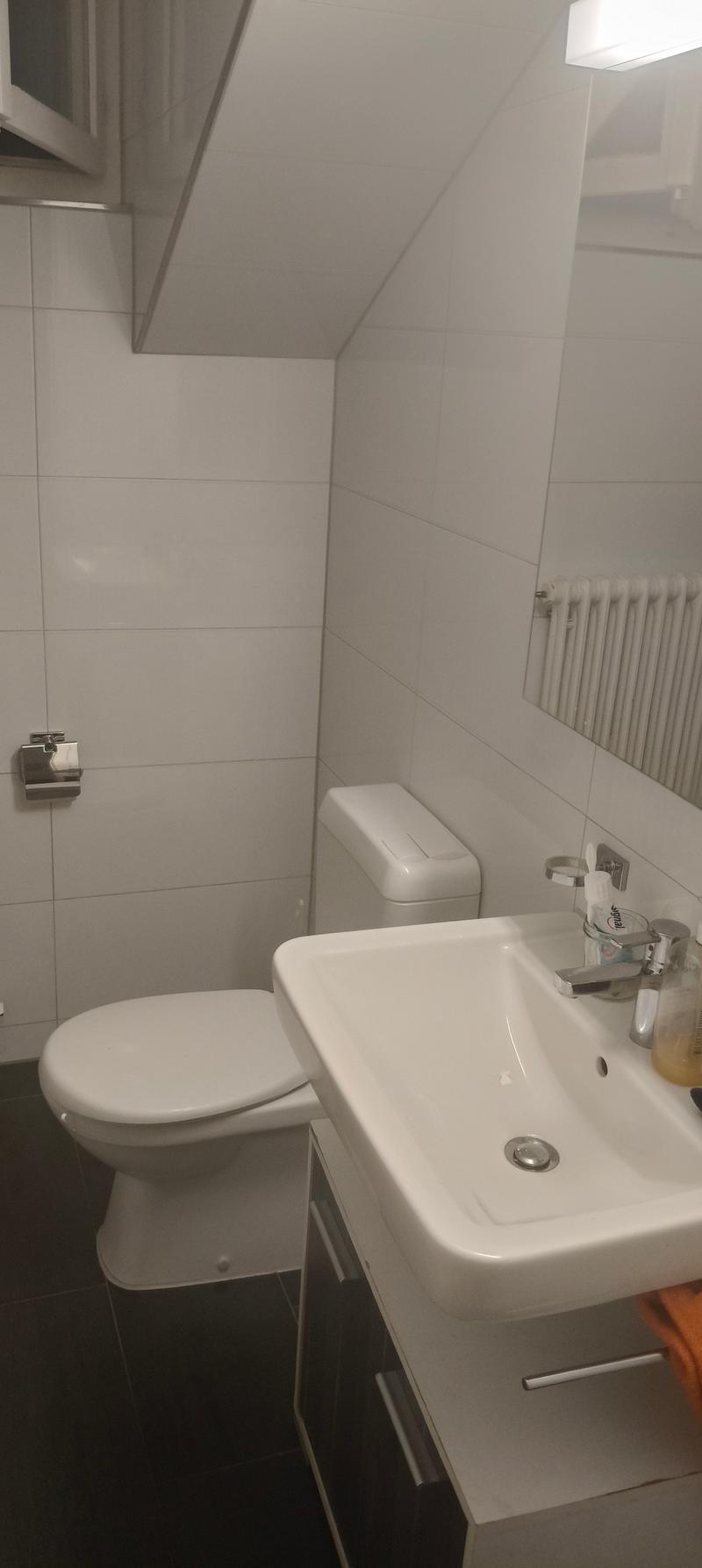 Charmante 2-Zimmer-Dachwohnung mit Balkon in Stansstad (11)