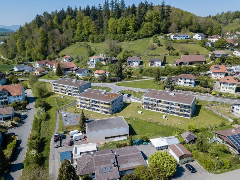 Seonstrasse-5-7-9-Egliswil_DJI_0074.jpg
