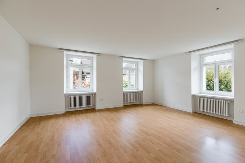 113.04.0101_4.5-ZWG-Hochparterre_R5E_6400-Wohnzimmer.jpg