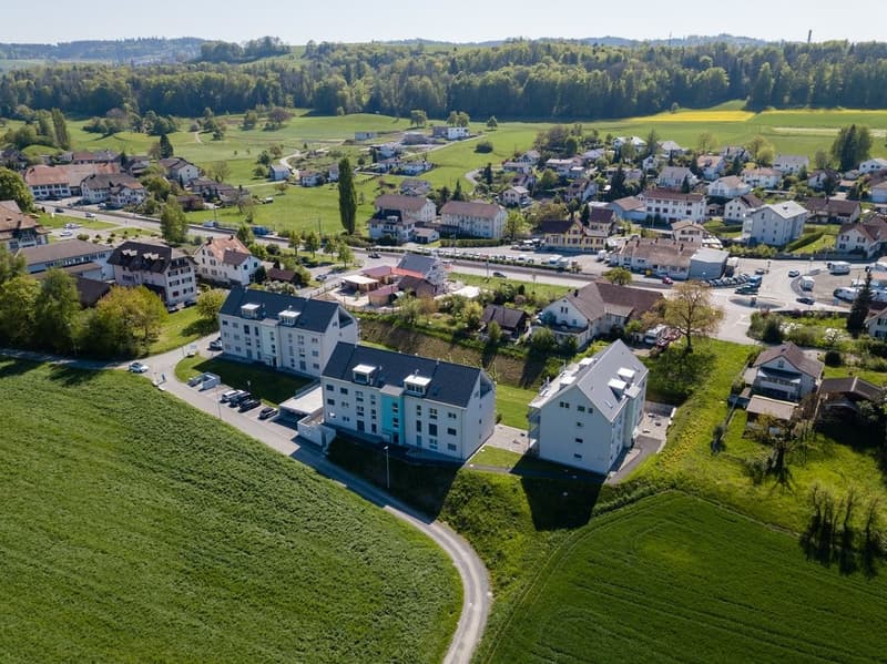 Steinmattweg-415-417-Hallwil_DJI_0083.jpg