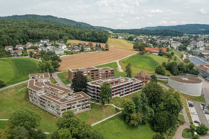 Stadtblick-Aarburg_DJI_0366-HDR.jpg