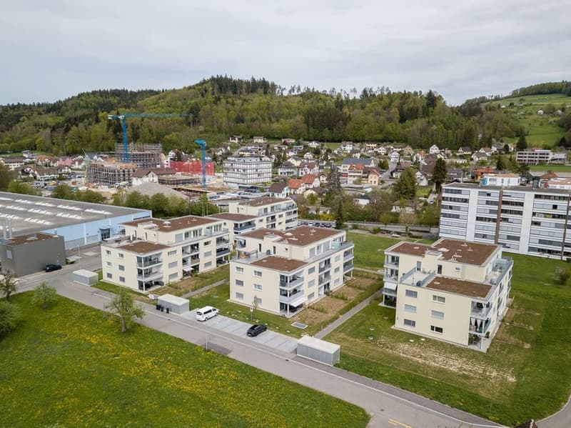 Gruenauweg-Binzhaltenstr-Unterkulm_DJI_0084.jpg