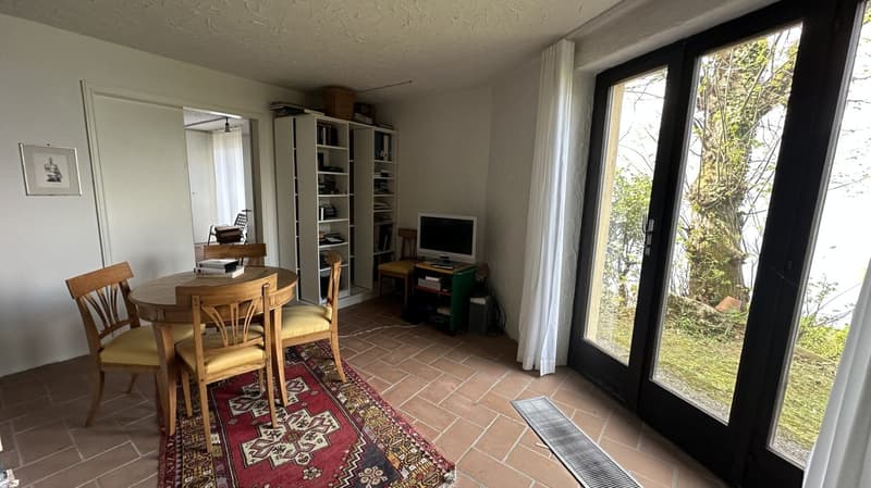 dining room with table, chairs, rug, bookshelf, monitor, and sliding glass doors