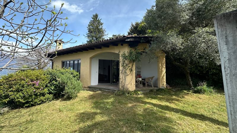 Single story house, yellow exterior, large windows, terrace, surrounded by greenery