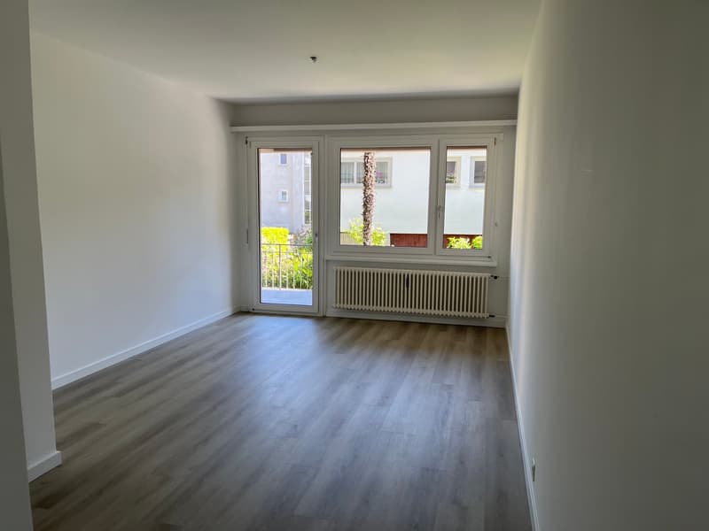 2.5 locali rinnovato con terrazzo (2)