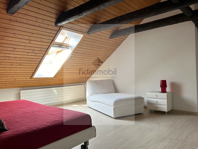 BEL APPARTEMENT PARTIELLEMENT RÉNOVÉ DANS DEMEURE VILLAGEOISE (6)