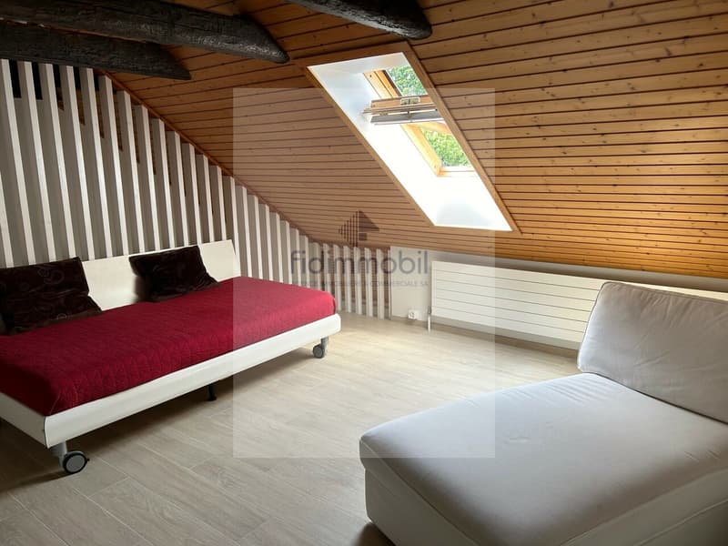 BEL APPARTEMENT PARTIELLEMENT RÉNOVÉ DANS DEMEURE VILLAGEOISE (5)