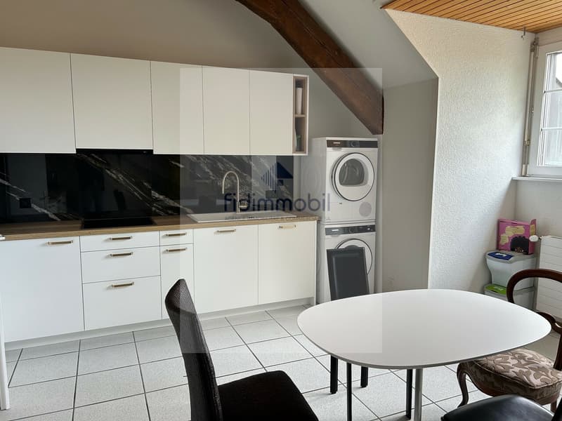BEL APPARTEMENT PARTIELLEMENT RÉNOVÉ DANS DEMEURE VILLAGEOISE (2)