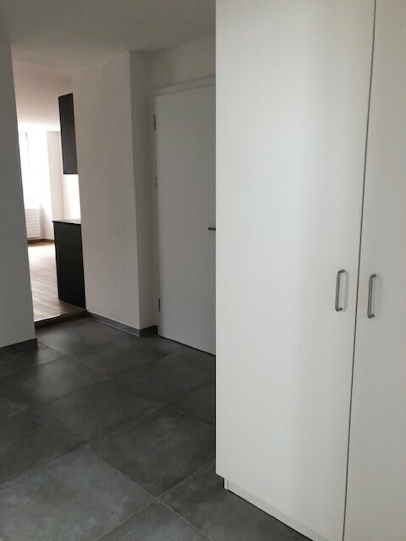 3 pièces entièrement rénové, Neuve 6, La Chaux-de-Fonds (8)