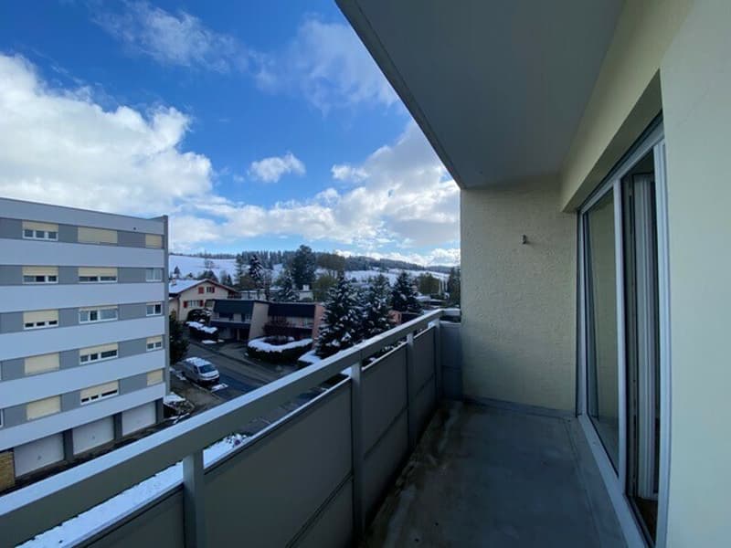 Dans quartier calme, 3.5 pièces, Vieux-Patriotes 48, La Chaux-de-Fonds (9)