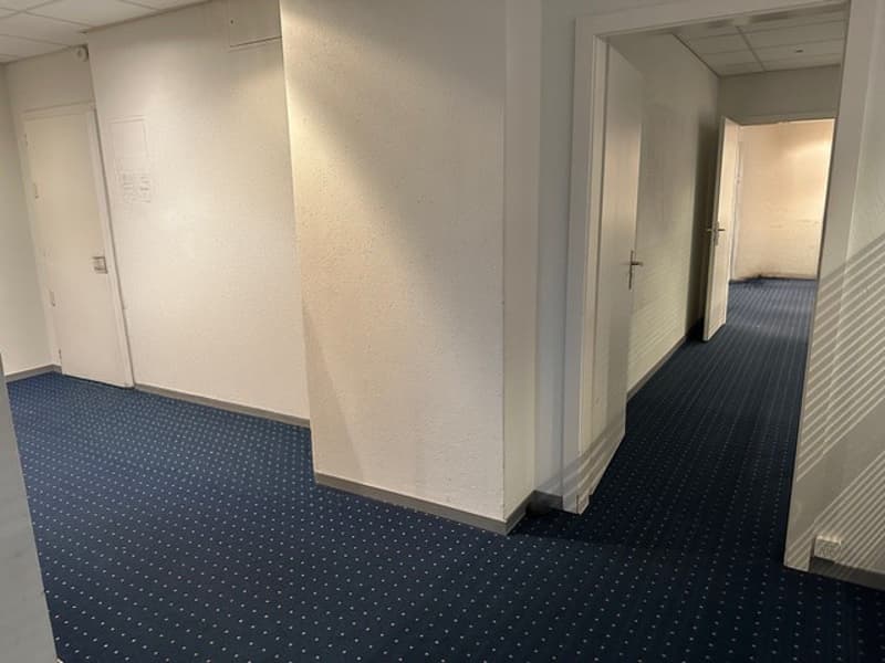 Local commercial de 266 m2 à vendre au centre ville (6)