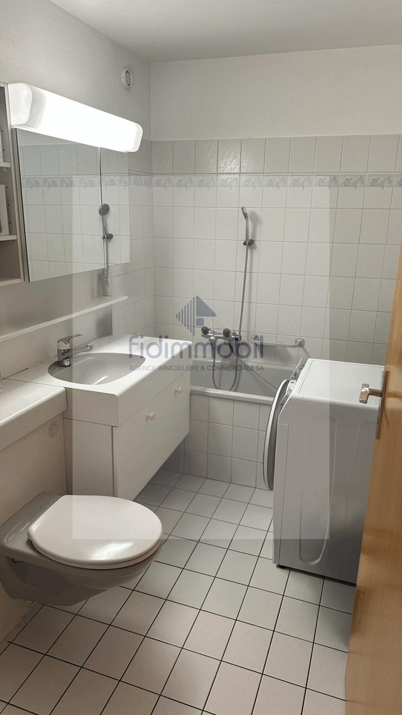 Appartement lumineux, proche de toutes les commodités et de la nature (8)