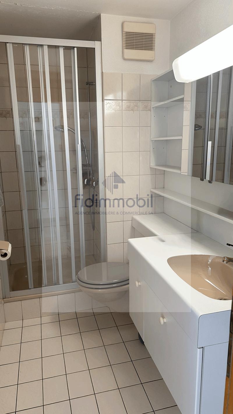 Appartement lumineux, proche de toutes les commodités et de la nature (7)
