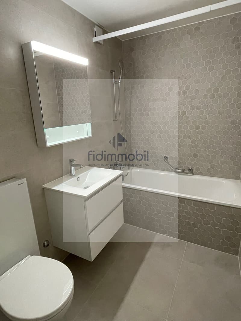 Appartement entièrement rénové au centre-ville (7)