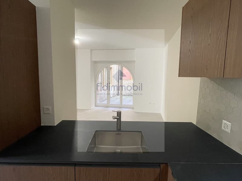 Appartement entièrement rénové au centre-ville (3)