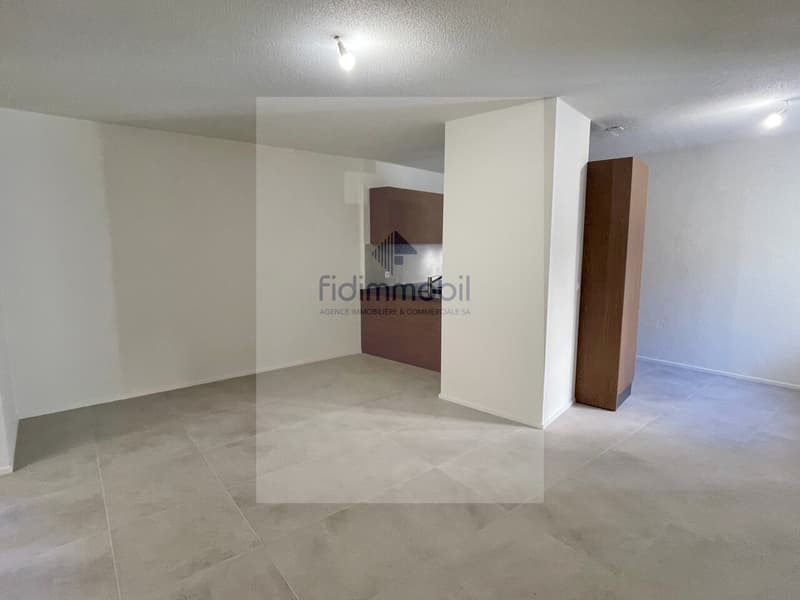 Appartement entièrement rénové au centre-ville (4)