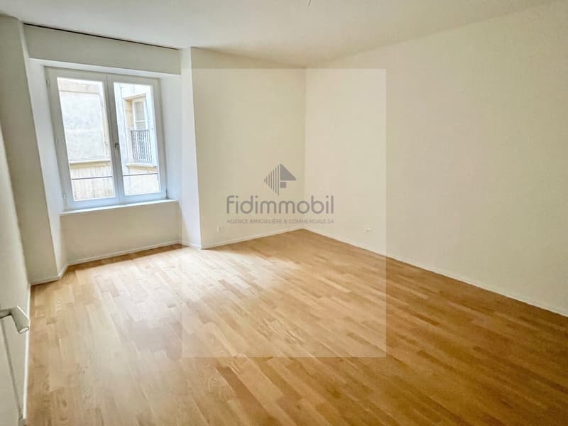 Appartement entièrement rénové au centre-ville (5)