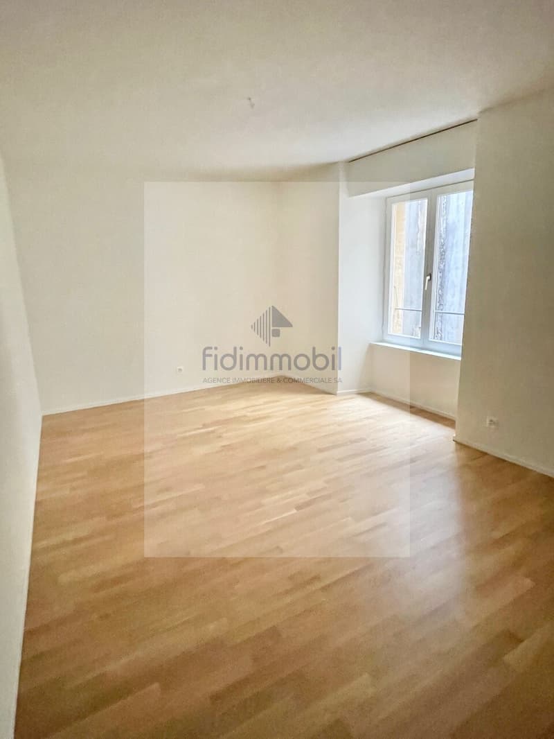 Appartement entièrement rénové au centre-ville (6)
