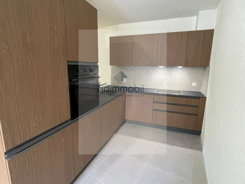 Appartement entièrement rénové au centre-ville (2)