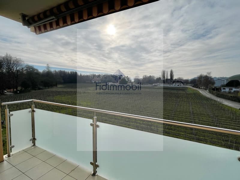 Appartement entièrement rénové à Cortaillod (8)