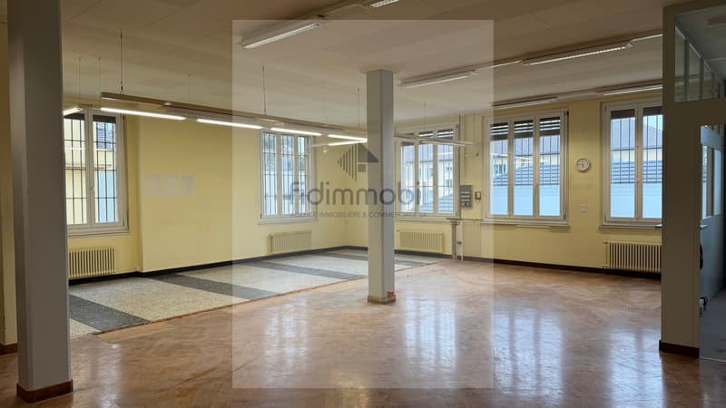 Spacieux local polyvalent idéalement situé (7)