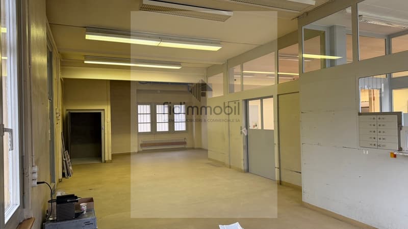 Spacieux local polyvalent idéalement situé (9)