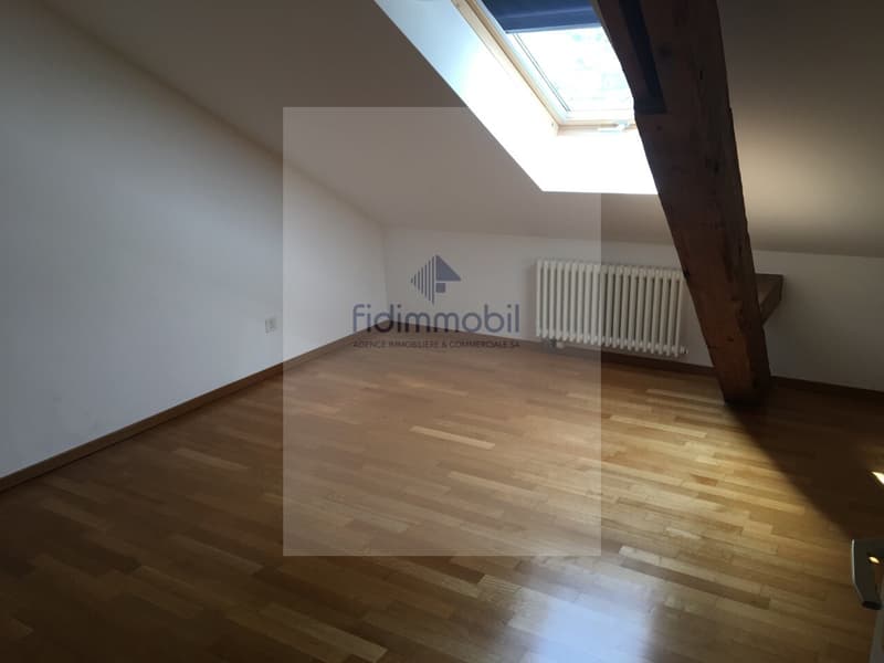 Magnifique appartement au Centre-Ville au bord du Lac (7)
