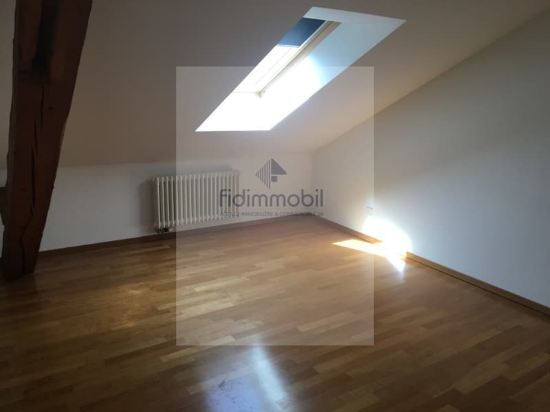 Magnifique appartement au Centre-Ville au bord du Lac (6)