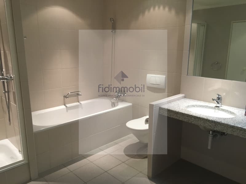 Magnifique appartement au Centre-Ville au bord du Lac (5)