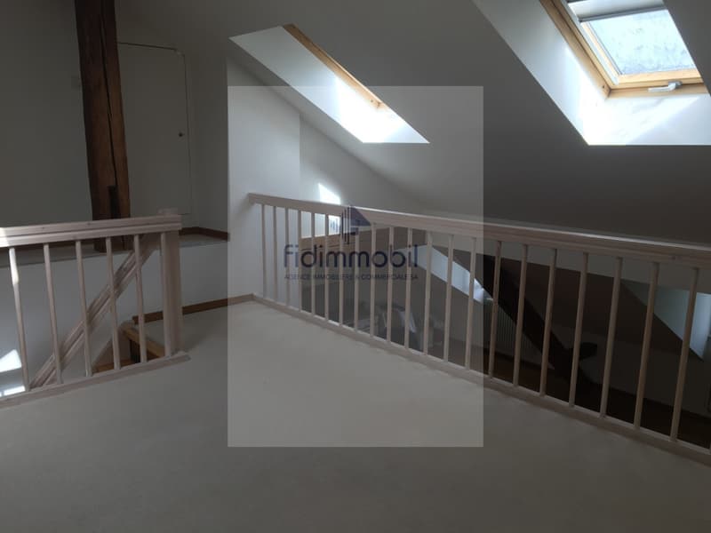 Magnifique appartement au Centre-Ville au bord du Lac (9)