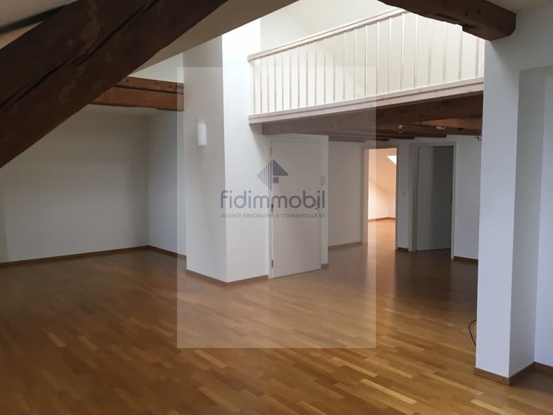 Magnifique appartement au Centre-Ville au bord du Lac (3)
