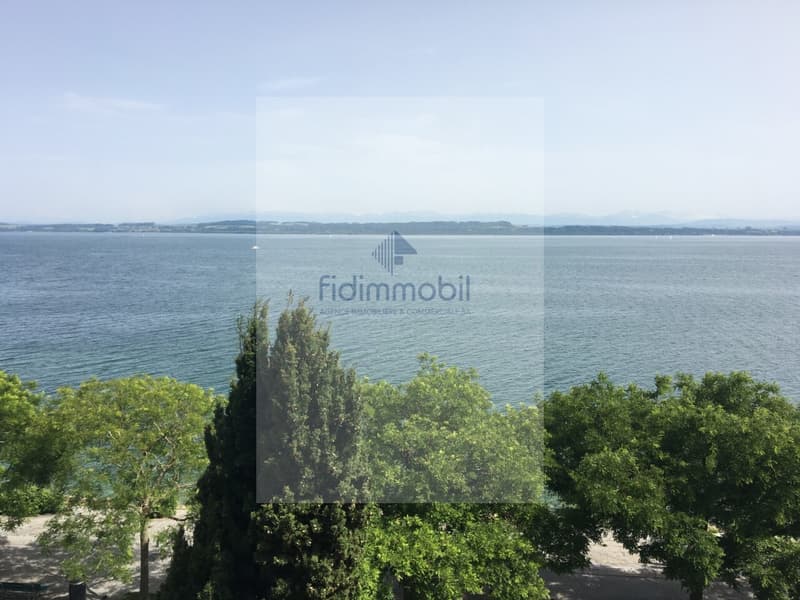 Magnifique appartement au Centre-Ville au bord du Lac (4)