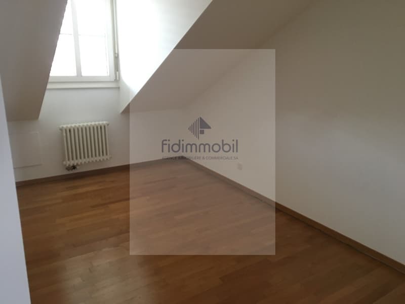 Magnifique appartement au Centre-Ville au bord du Lac (8)