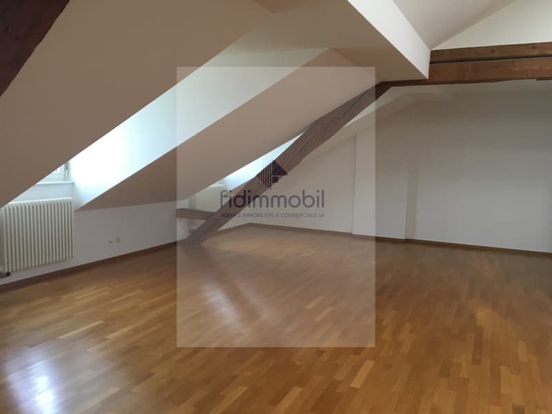 Magnifique appartement au Centre-Ville au bord du Lac (2)