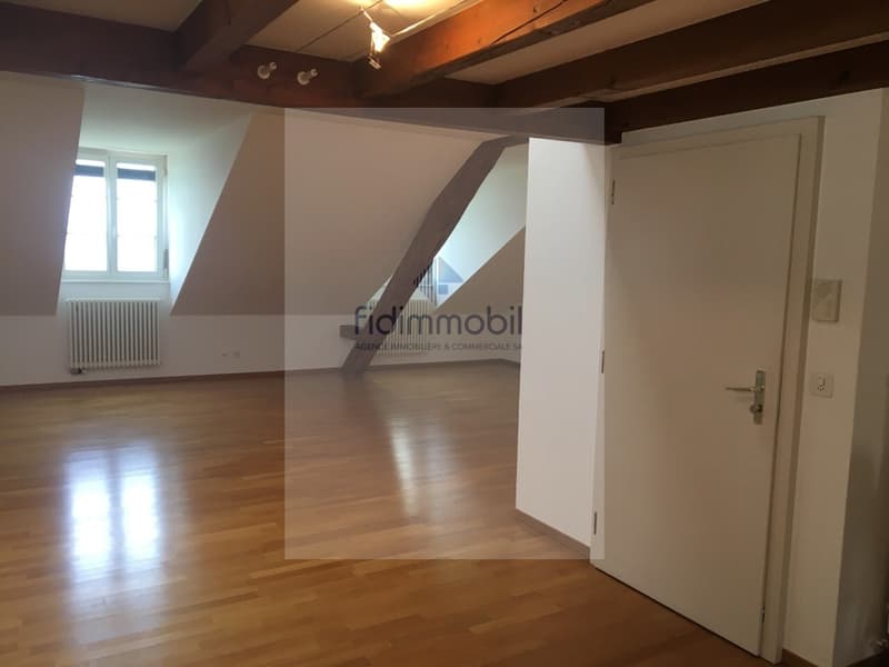 Magnifique appartement au Centre-Ville au bord du Lac (10)