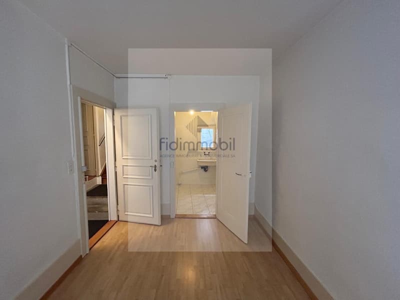CHARMANT APPARTEMENT EN CENTRE-VILLE (6)