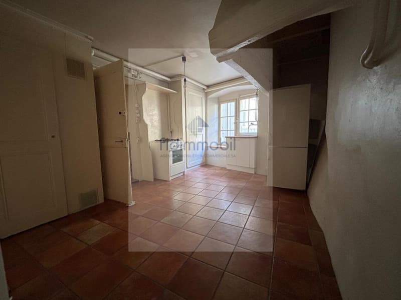 CHARMANT APPARTEMENT EN CENTRE-VILLE (8)