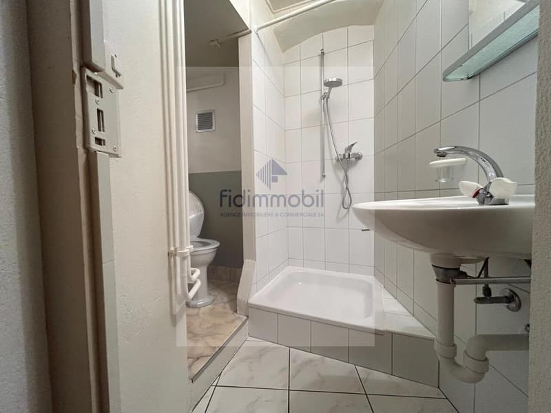 CHARMANT APPARTEMENT EN CENTRE-VILLE (9)