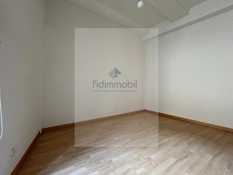 CHARMANT APPARTEMENT EN CENTRE-VILLE (3)