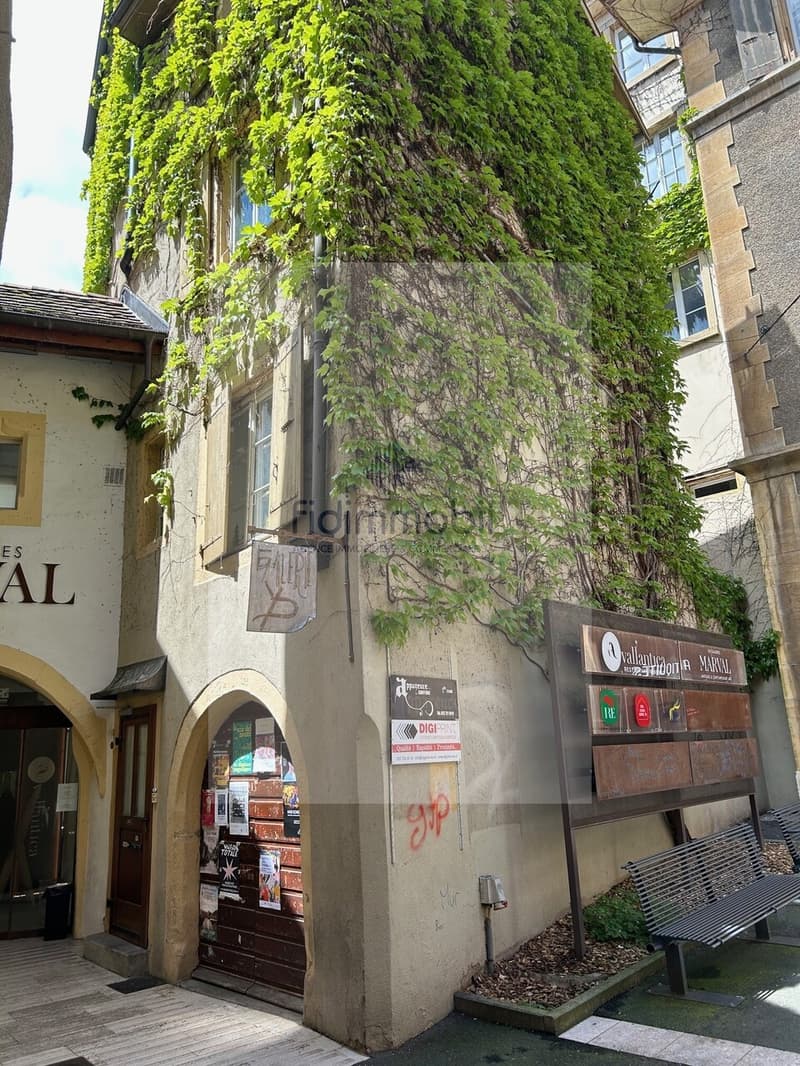 CHARMANT APPARTEMENT EN CENTRE-VILLE (10)