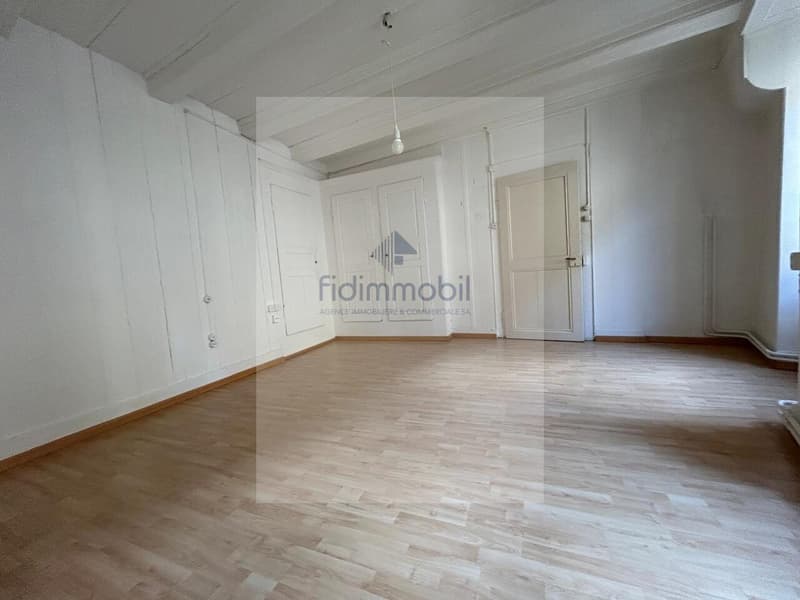 CHARMANT APPARTEMENT EN CENTRE-VILLE (2)