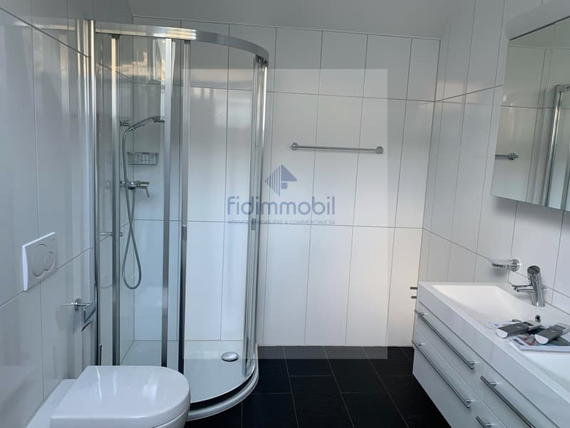 HAUTERIVE AU COEUR DU VILLAGE MAGNIFIQUE DUPLEX (7)