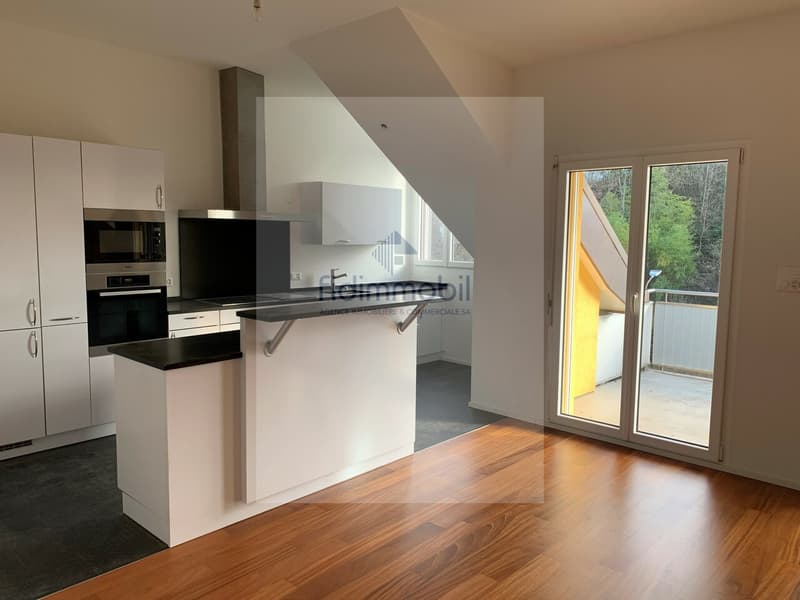 HAUTERIVE AU COEUR DU VILLAGE MAGNIFIQUE DUPLEX (2)