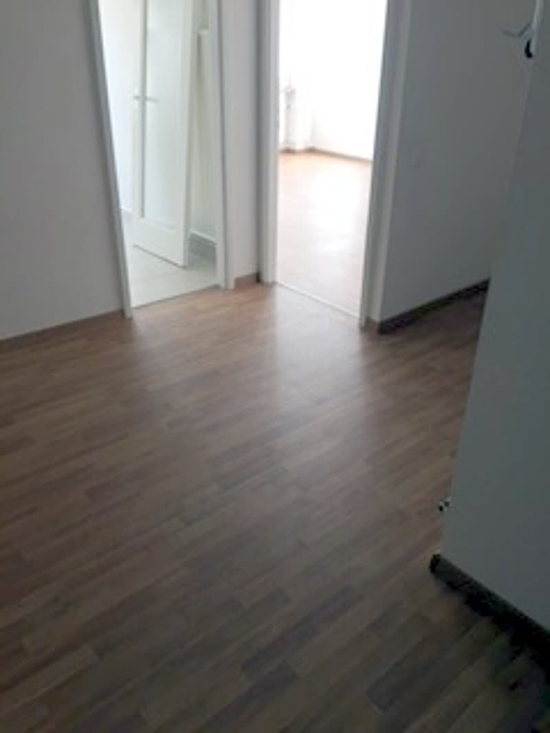 A louer, 2 pièces, Grenier 20, La Chaux-de-Fonds (2)