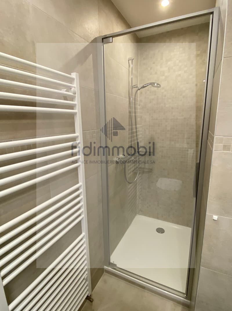 APPARTEMENT ENTIEREMENT RENOVE AVEC VUE IMPRENABLE SUR LE LAC (9)