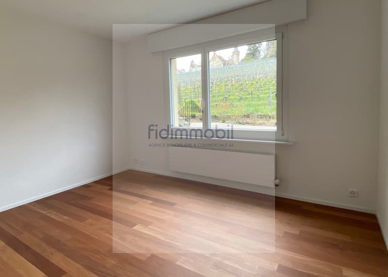 APPARTEMENT ENTIEREMENT RENOVE AVEC VUE IMPRENABLE SUR LE LAC (6)